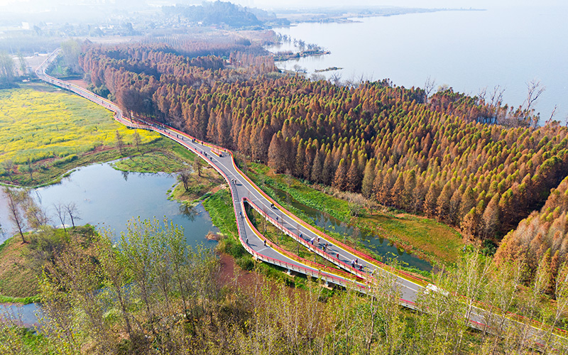 　　游客在滇池綠道上游玩。　李發興攝