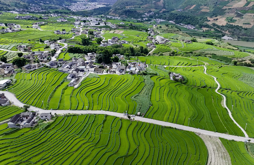 大理云龙澜沧江畔的梯田风光。云龙县文化和旅游局供图