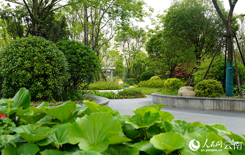 雲南省大關縣靖安安置區的濱河公園一角。 人民網記者 蔡樹菁攝