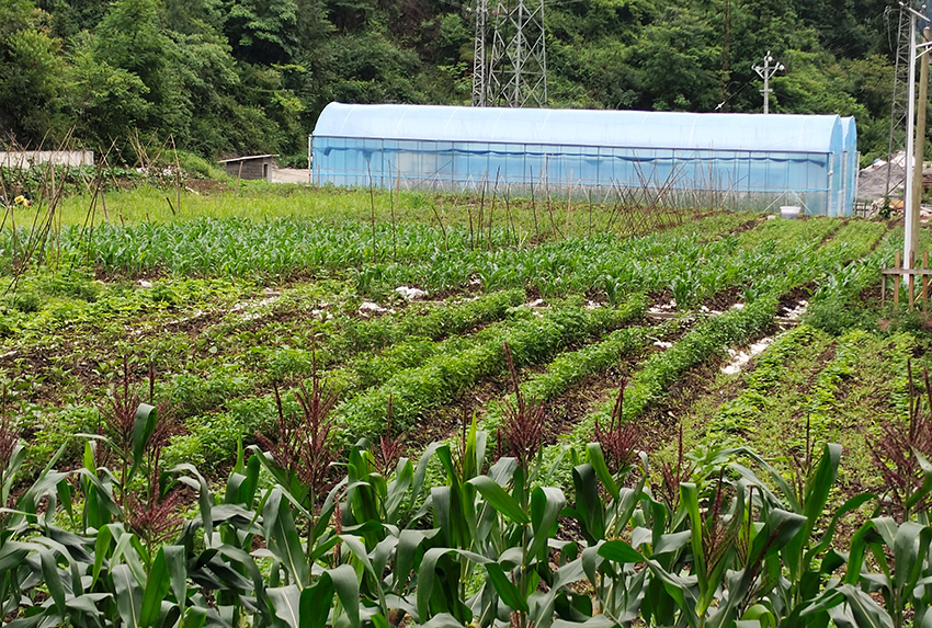 【2】工行雲南省分行投入資金幫助偏岩村建設體驗式生態農業項目。受訪者供圖