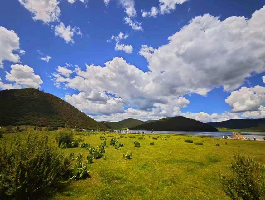 迪庆香格里拉普达措公园夏日风景如画。人民网记者 木胜玉摄