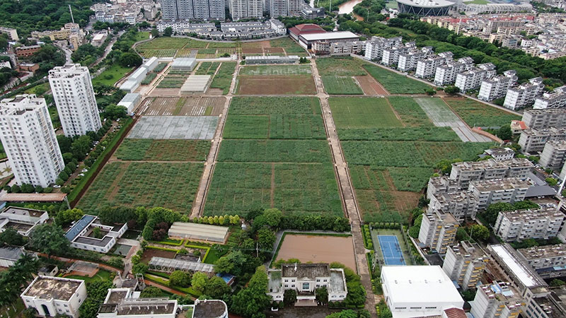 甘蔗研究所-文斌-2025年7月14日