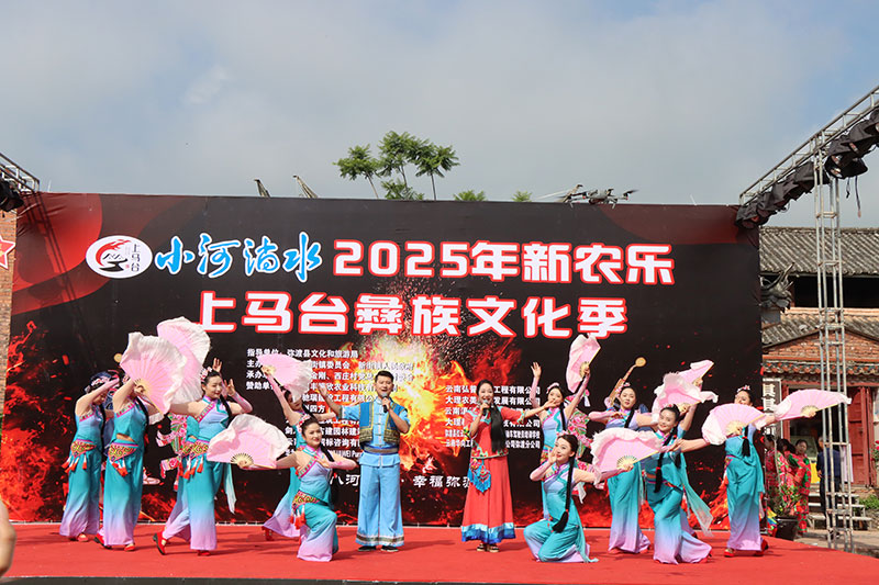 演出现场。弥渡县融媒体中心供图