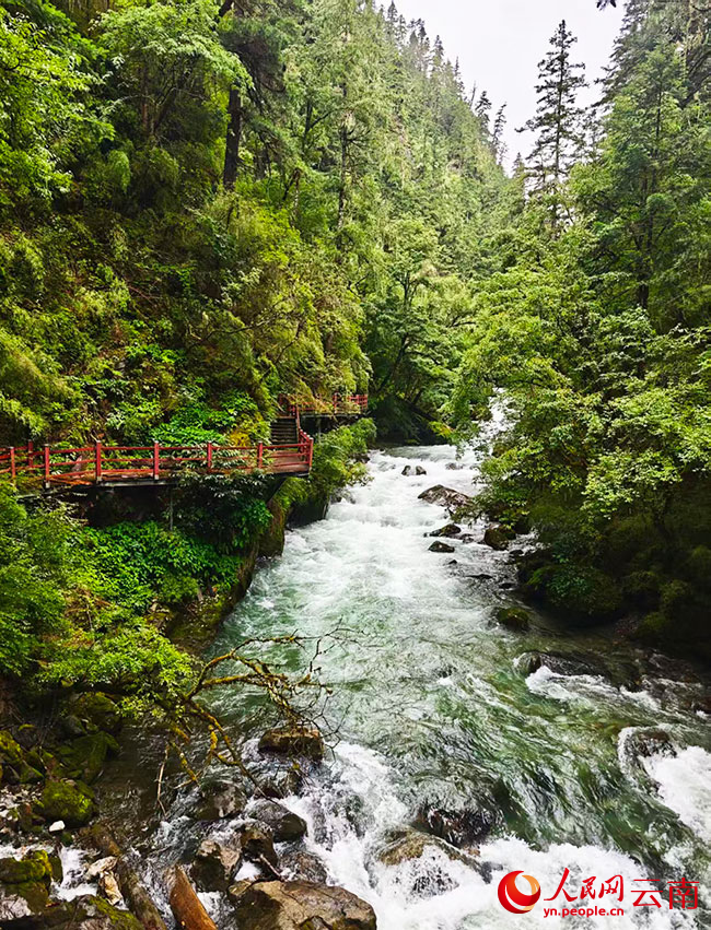 尼汝河风光。人民网记者 木胜玉摄