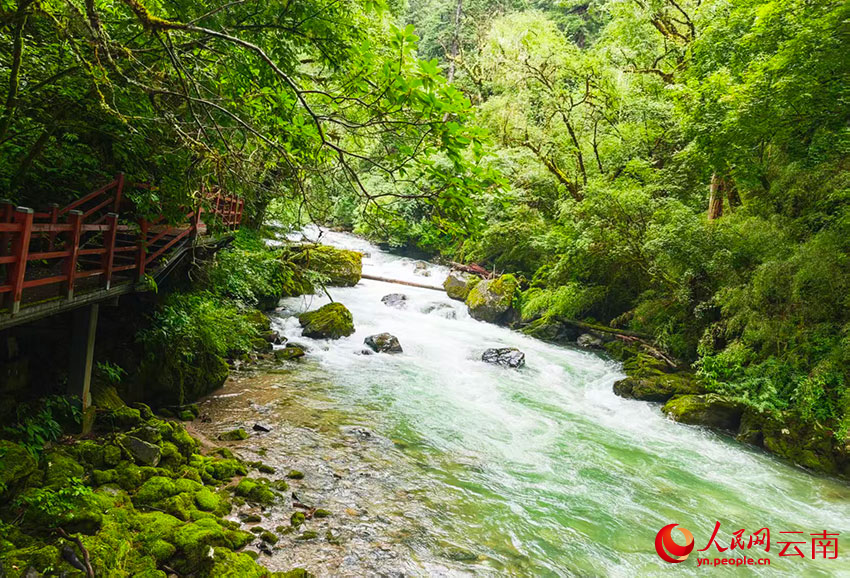 尼汝河风光。人民网记者 木胜玉摄