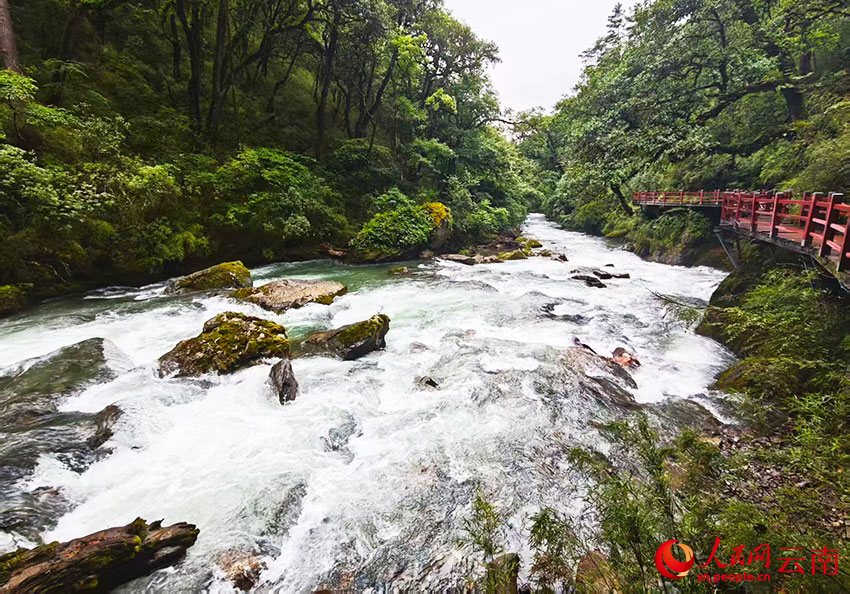 尼汝河风光。人民网记者 木胜玉摄