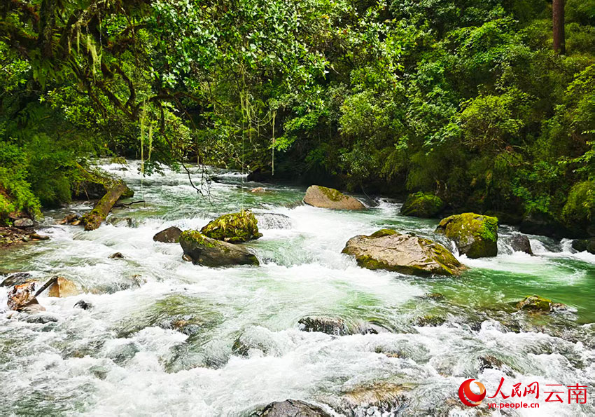 尼汝河风光。人民网记者 木胜玉摄