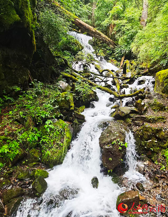 尼汝河支流。人民网记者 木胜玉摄