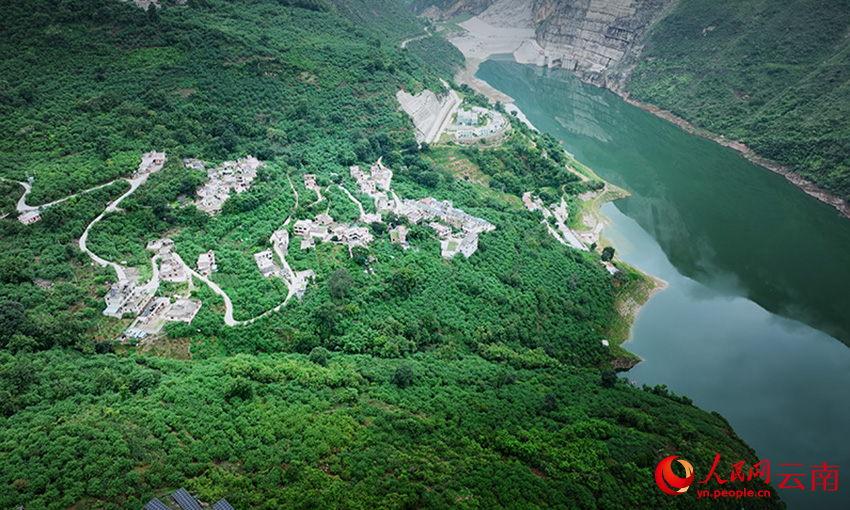 巧家县包谷垴乡红石岩村花椒绿满山。邓翰超摄