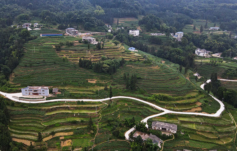 产业路建设完成。