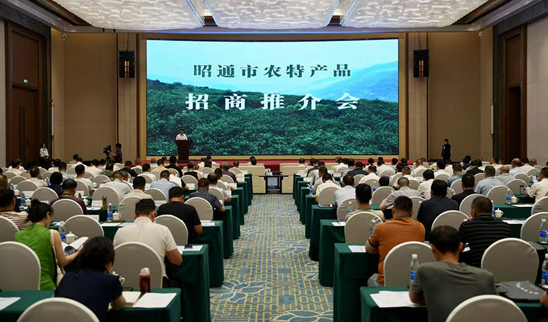 活動(dòng)現(xiàn)場(chǎng)。昭通市融媒體中心供圖