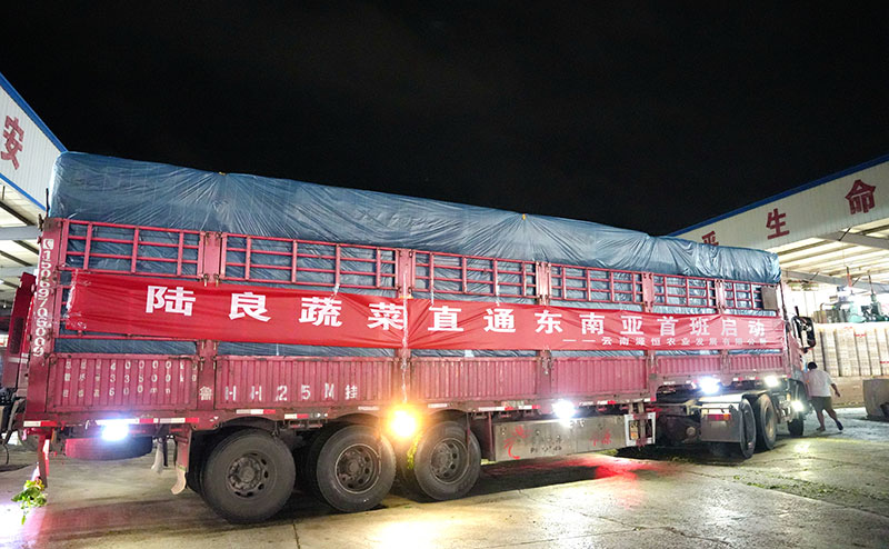 陸良蔬菜直通東南亞首班啟運。