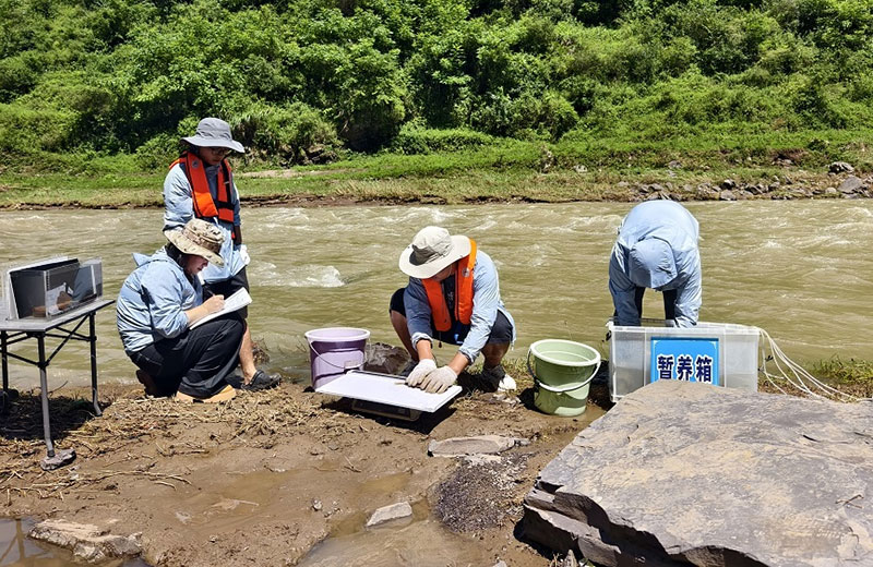 西南大学科研人员在赤水河开展生物多样性监测。
