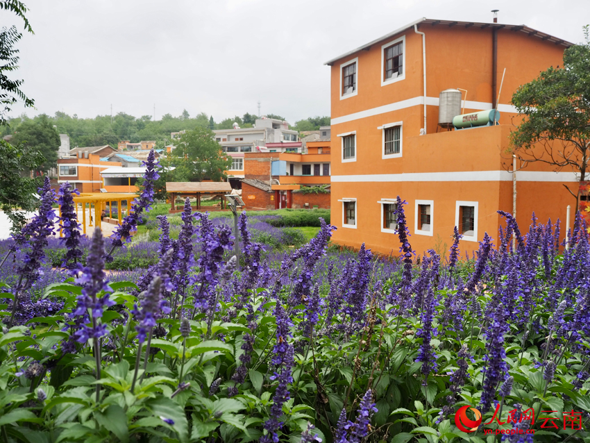 虎頭山·雲間紅長征文化公園的特色紅牆民居。人民網 王嫻攝