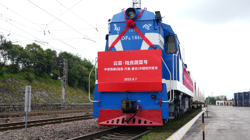 蔬菜冷链专列从陆良启航驰向东南亚市场。