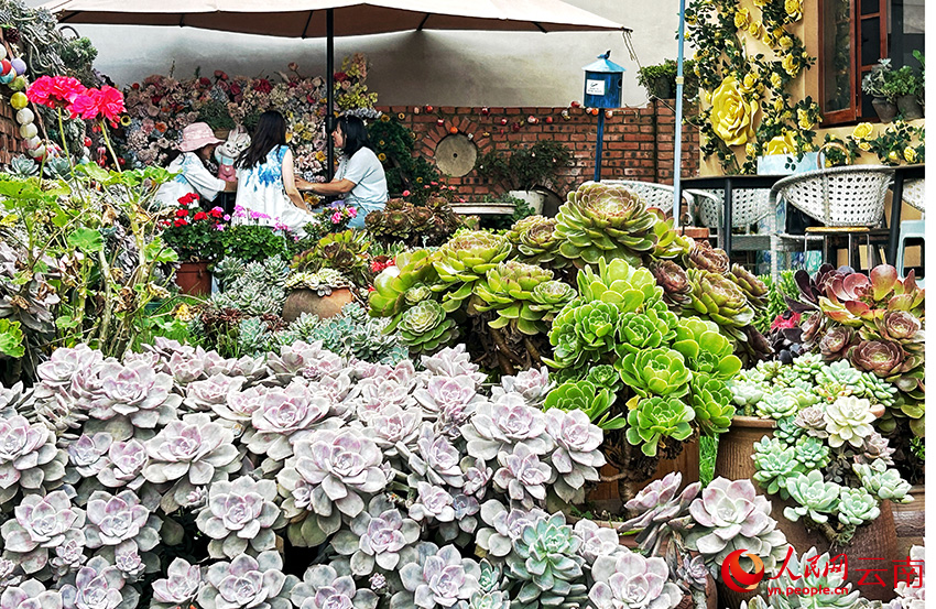游客在土瓜冲村内的特色餐饮店内休息。人民网记者 刘怡摄