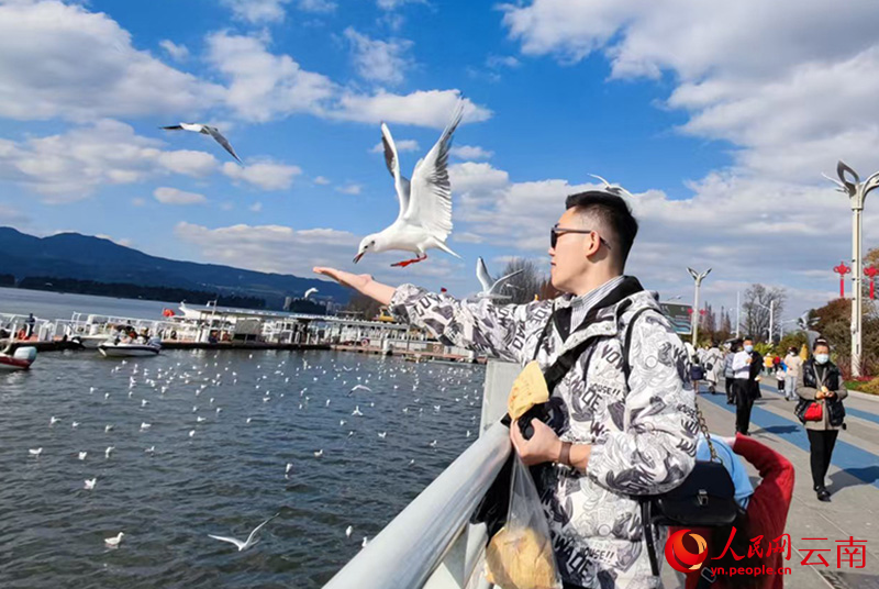曾鈺慧智在海埂大壩喂海鷗。段玉良攝