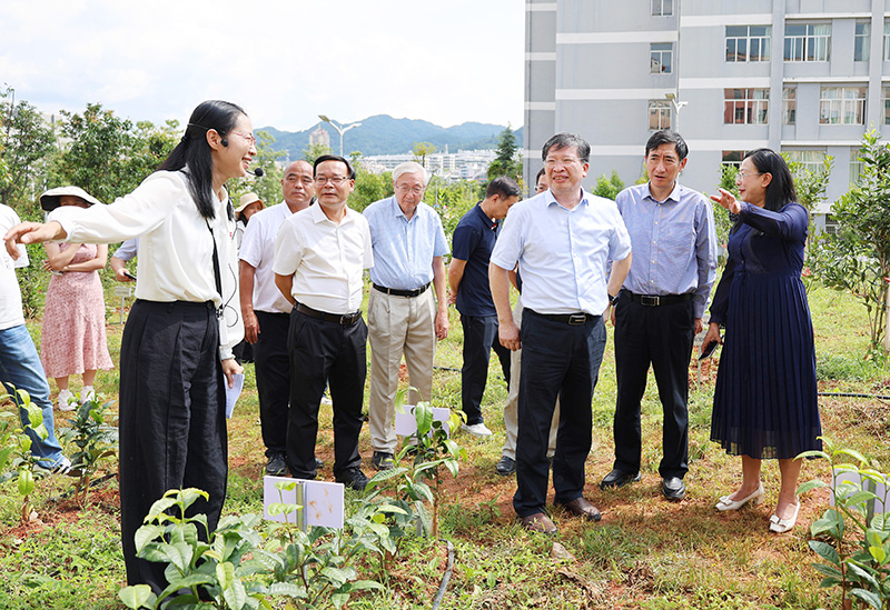 图一-院士团队在云南省澜沧江流域茶树资源保护与创新利用重点实验室资源圃考察