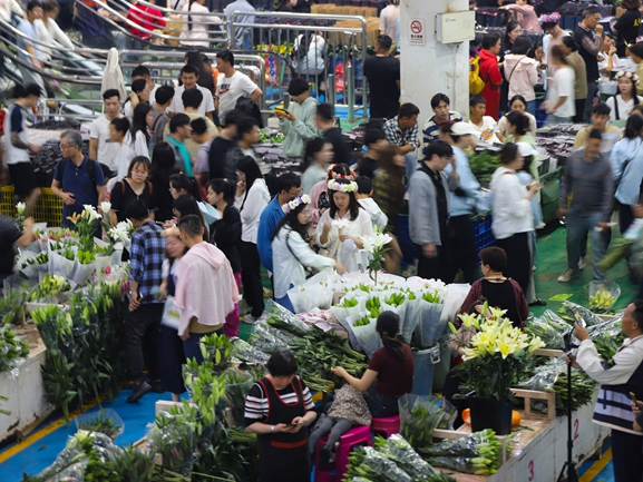 昆明斗南花卉市场热闹非凡。人民网记者 李发兴摄