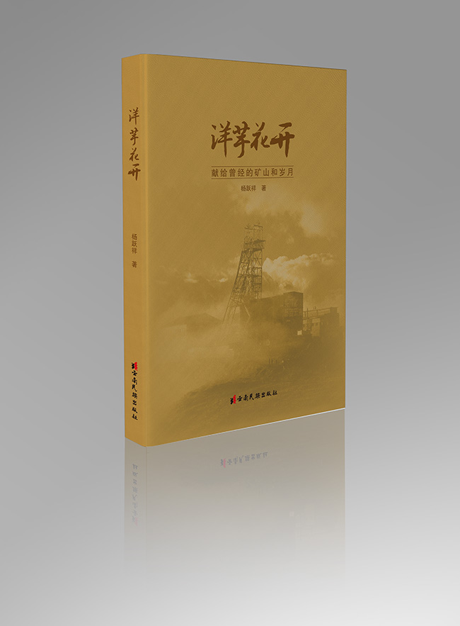 《洋芋花開》封面。