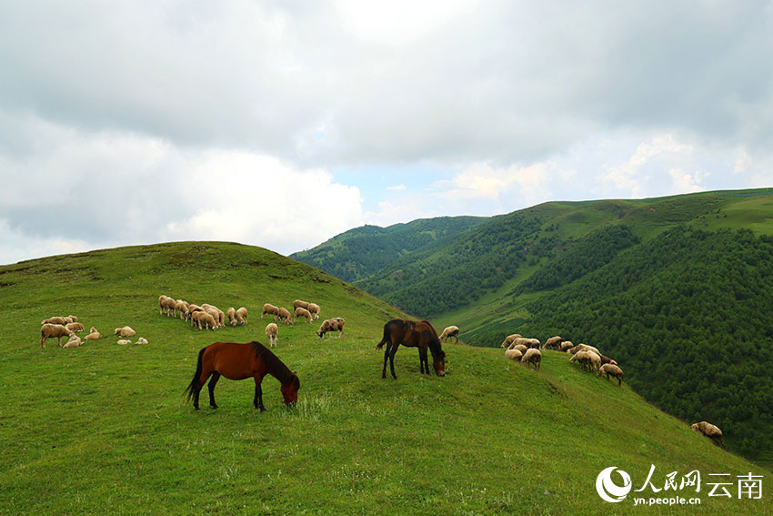 大山包草原風光。鄭遠見攝