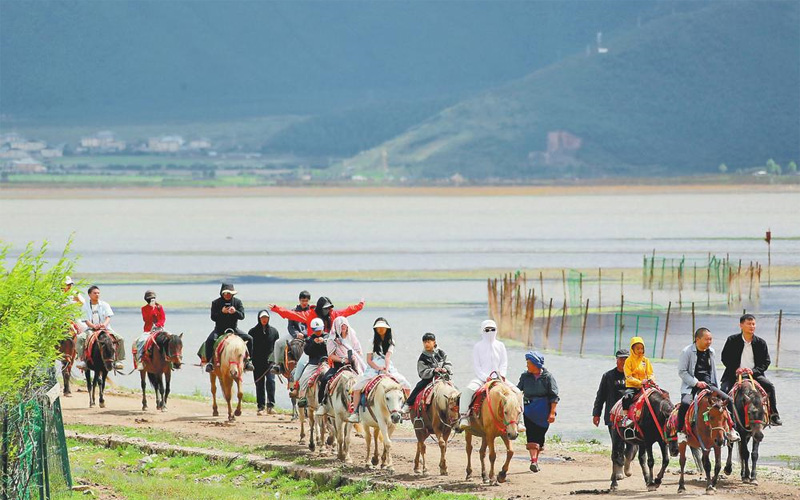 雲南香格裡拉暑期旅游持續升溫