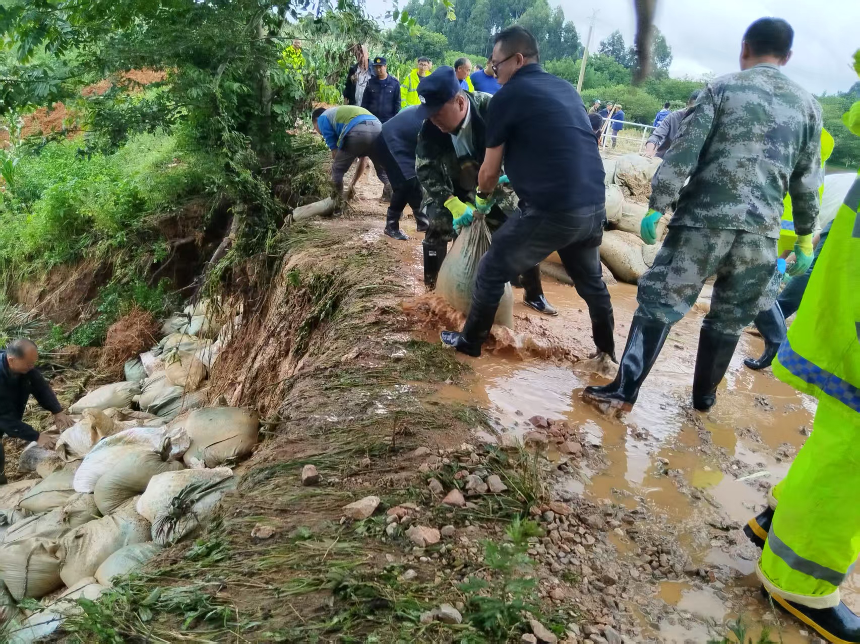 曲靖干部群眾奮戰在抗洪排險一線。