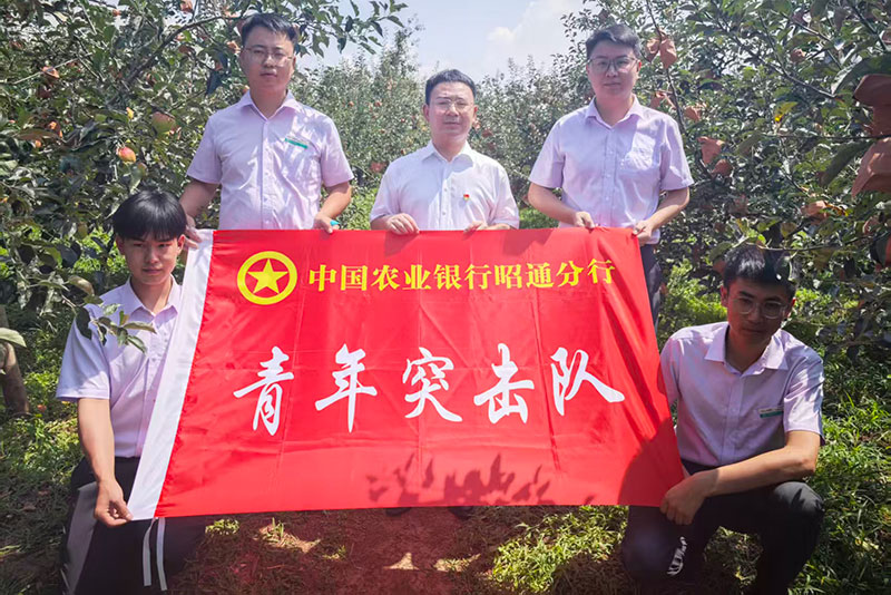 青年突擊隊。農行昭通分行供圖