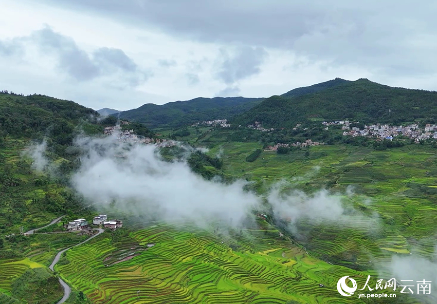 紅河哈尼梯田。羅桂雲攝