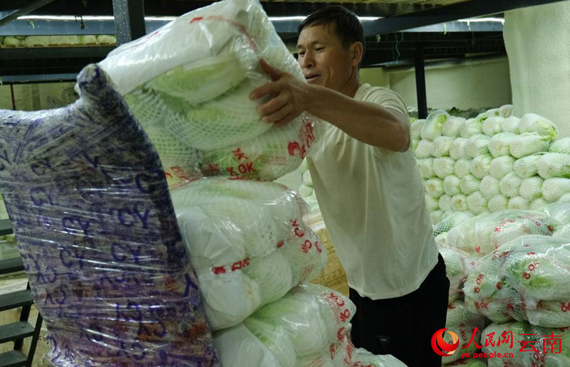 工人正在搬运即将送往泰国的白菜。人民网 曾智慧摄