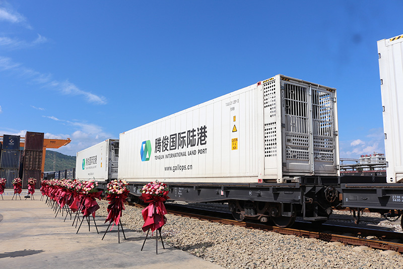 【2】8月28日,第二列“郑和号”海公铁国际多式联运班列出发。云南腾晋物流股份有限公司供图