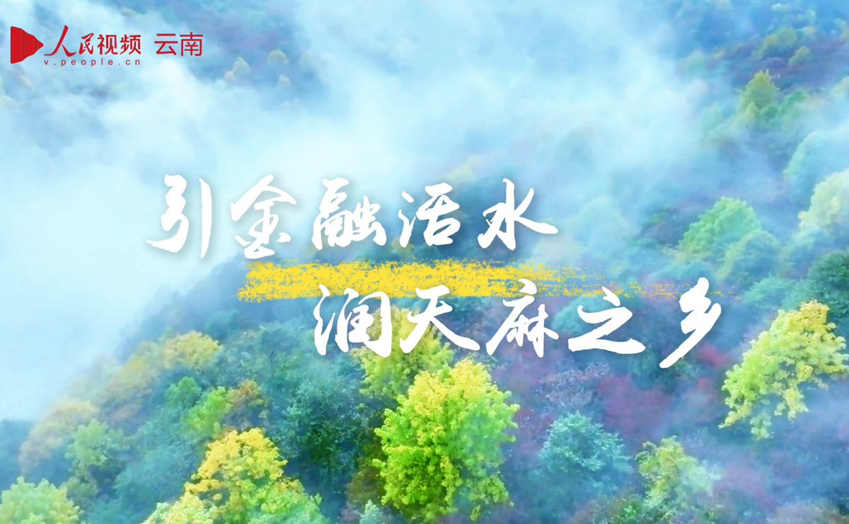 引金融活水 润泽天麻之乡