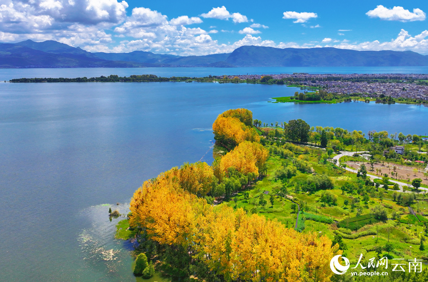 洱海秋景。马雯摄