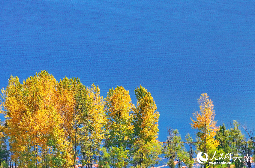 洱海秋景。马雯摄