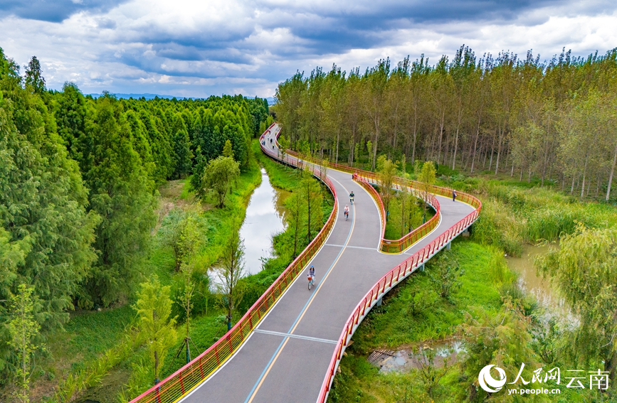 游客在滇池绿道上悠闲骑行。人民网记者 虎遵会摄