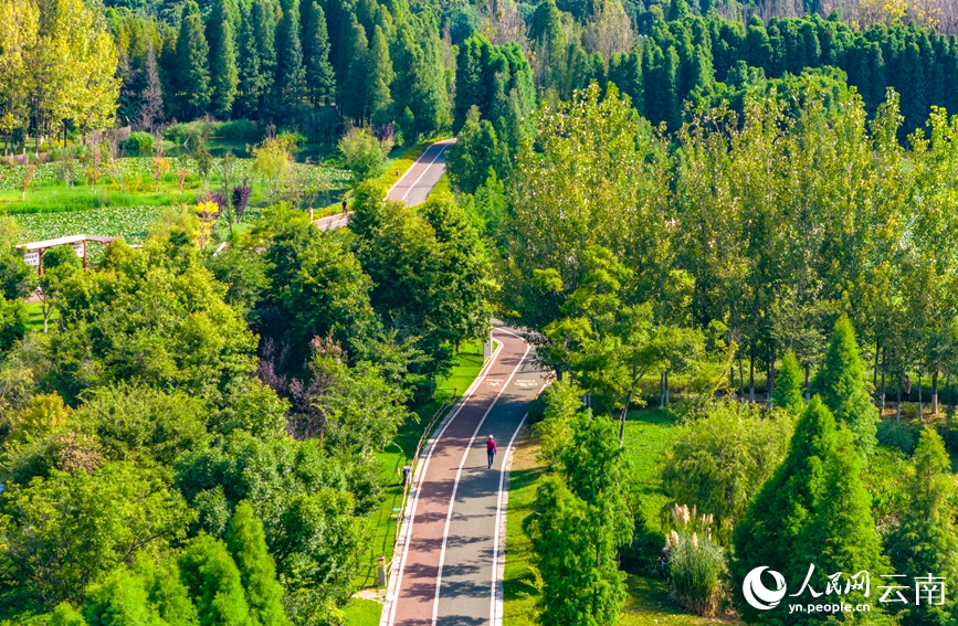 游客在滇池绿道上休闲。人民网记者 虎遵会摄