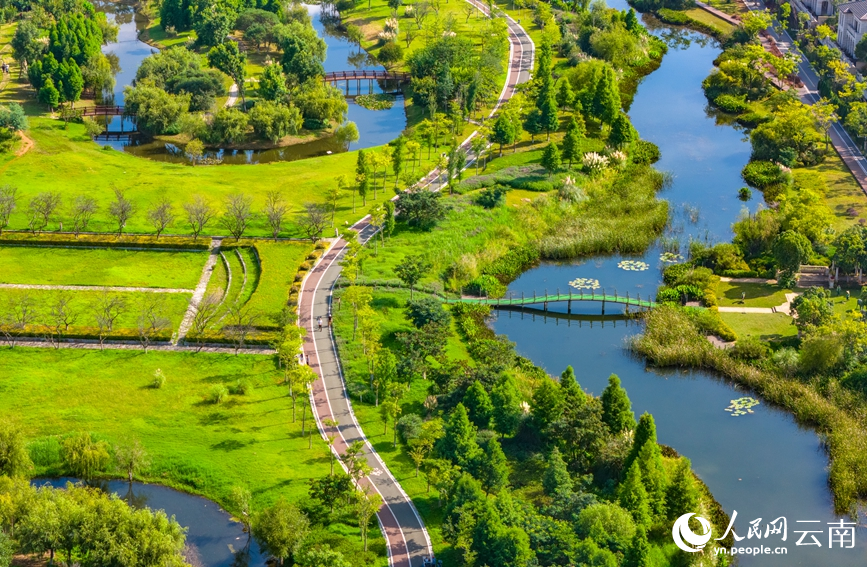 从滇池湿地中穿过的绿道。人民网记者 虎遵会摄