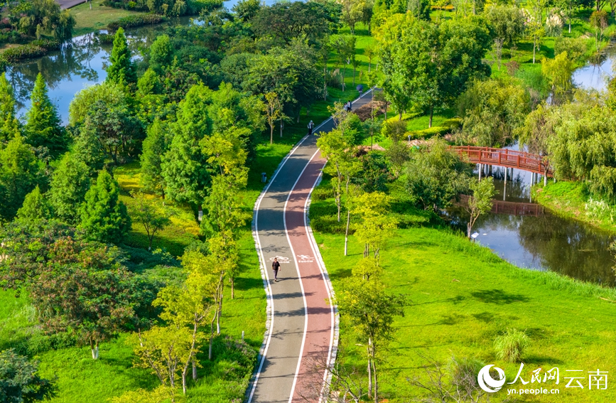 游客在滇池绿道上休闲。人民网记者 虎遵会摄