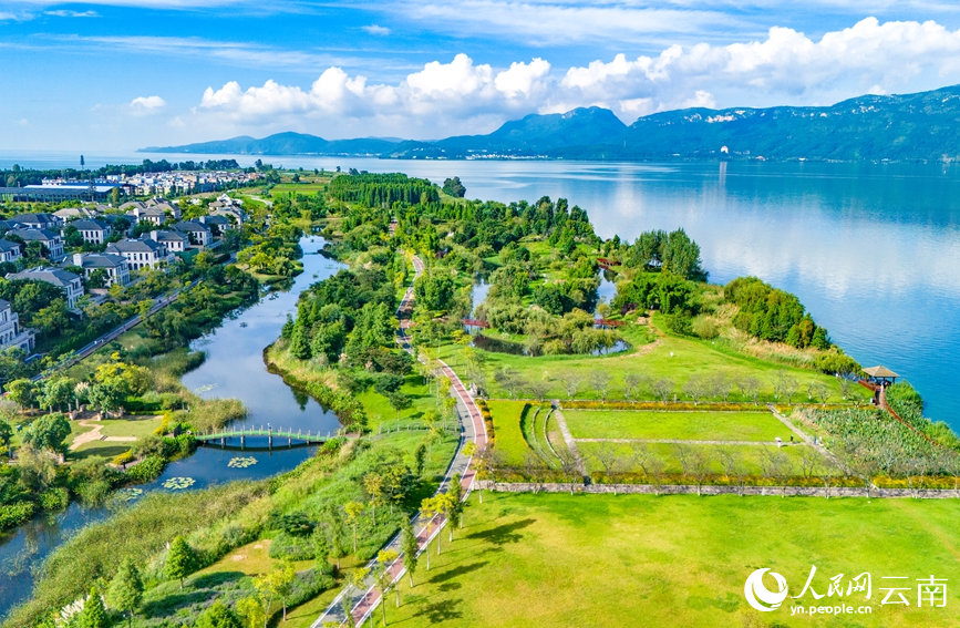 绿道穿过湿地蜿蜒向前。人民网记者 虎遵会摄