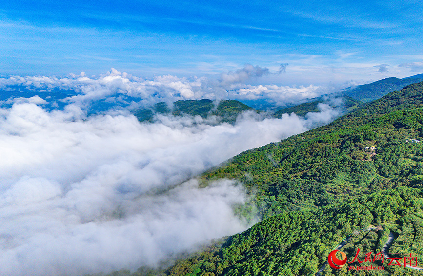 雲南省漾濞縣蒼山西坡出現壯美雲海景觀。人民網記者 虎遵會攝