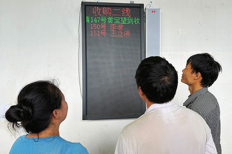 农户查看预约排号情况。希奕璇摄