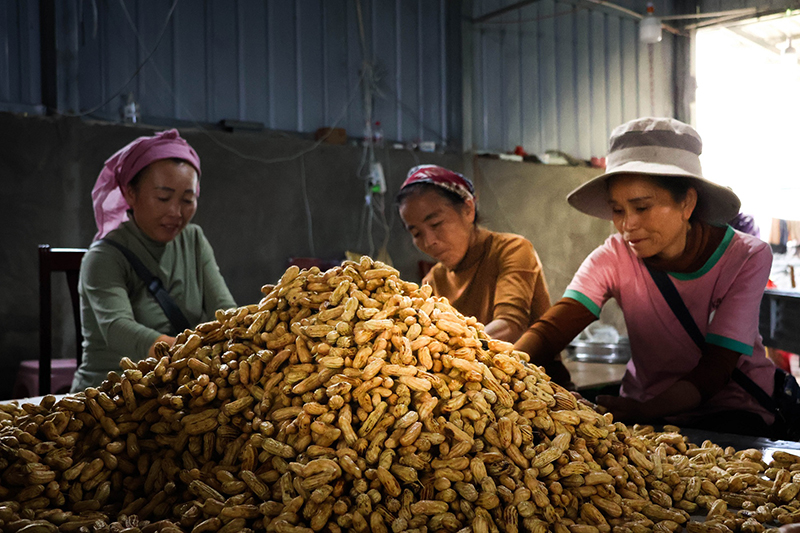 银发家门口再“就业”。黎伯荣摄