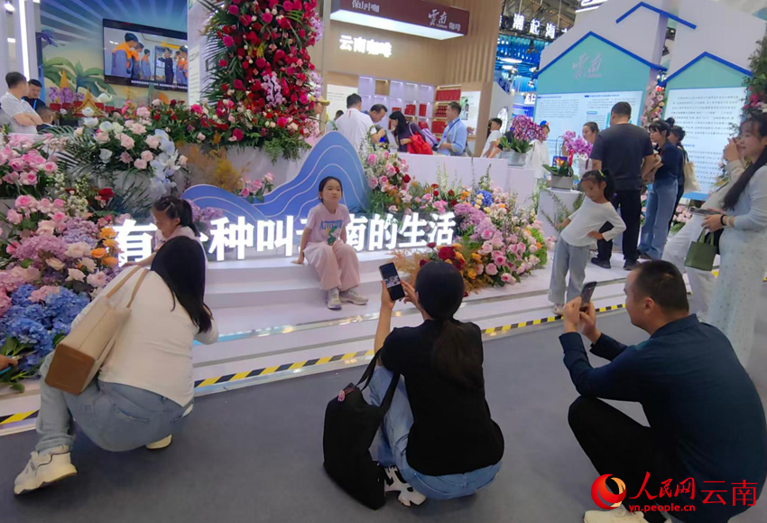 云南展馆成为现场最热打卡点
