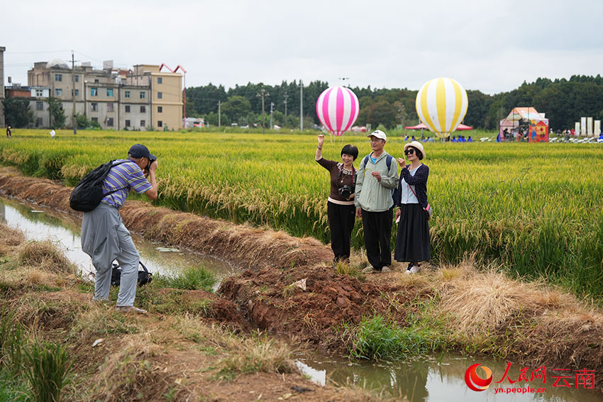游客在江尾社区稻田拍照。人民网记者 李发兴摄