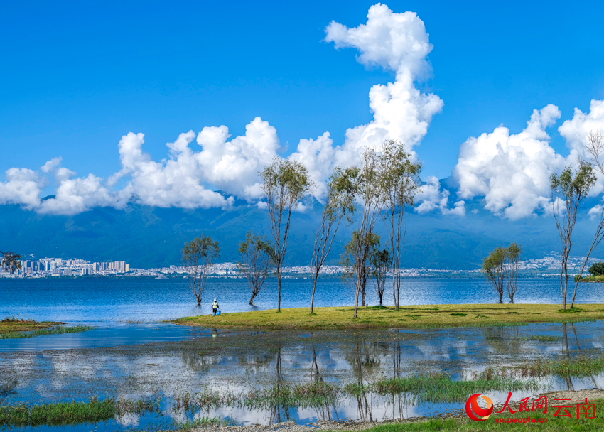 秋季洱海生态美景。杨继培摄