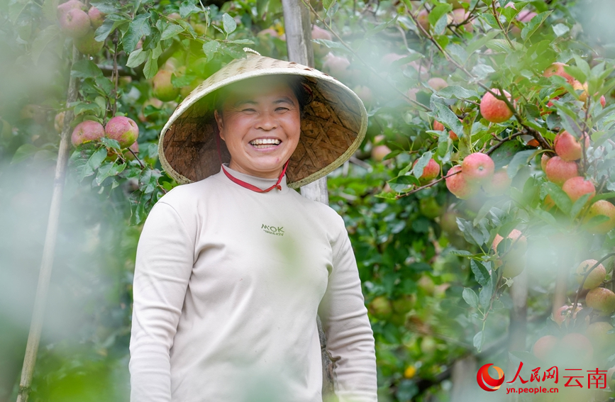 果农丰收的喜悦。人民网记者 虎遵会摄