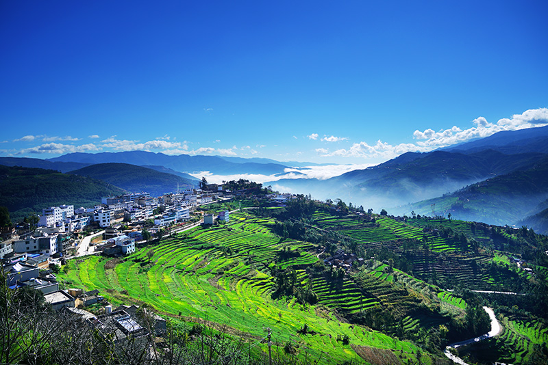 马街镇全景。南华县委宣传部供图