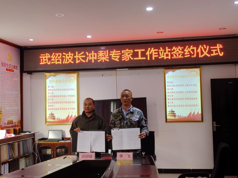 2024年3月15日成立武绍波长冲梨专家工作站。2024年3月珠街镇人民政府赵姓醇摄