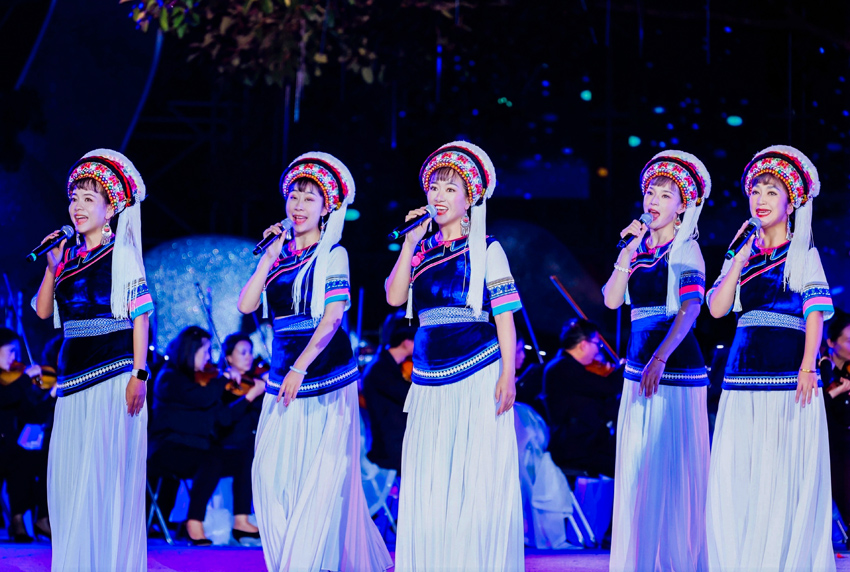 音乐会现场。大理州委宣传部供图