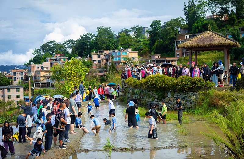 红河县龙玛村“云南村长有请”活动——徒手摸鱼(2025.10